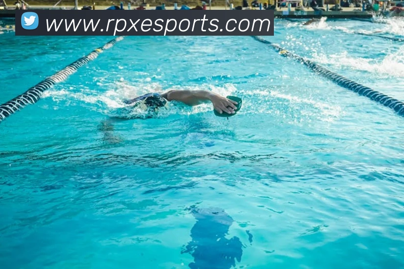 球赛投注APP 封面图